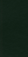 Leatherette Dark Green