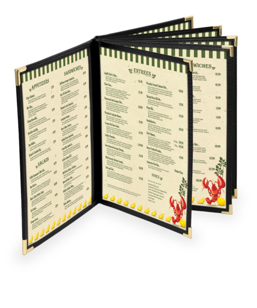 Ten View Dynasty Menu Covers